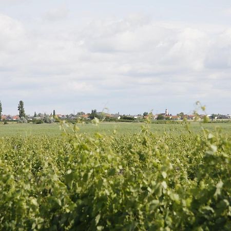 Pension & Weingut Storchenblick إلميتز المظهر الخارجي الصورة