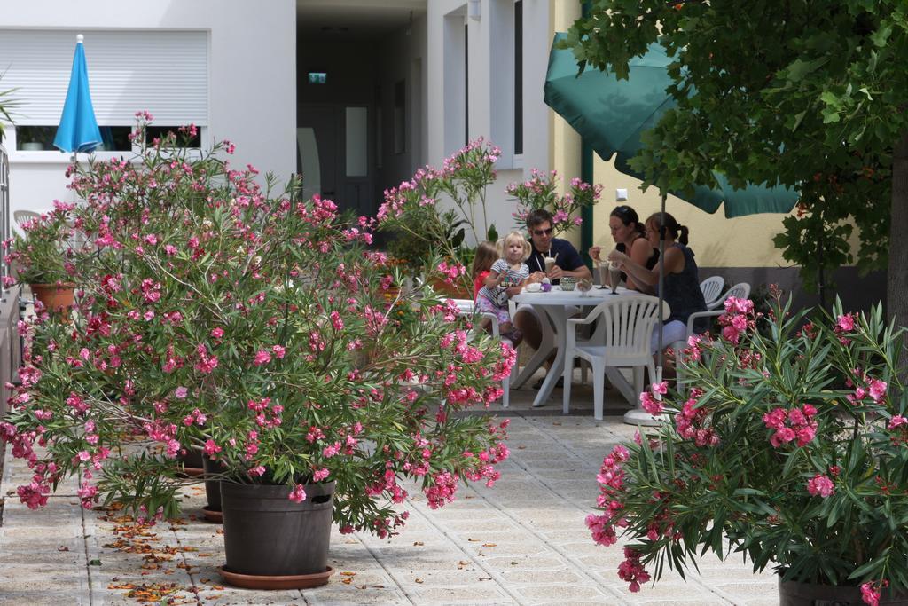 Pension & Weingut Storchenblick إلميتز المظهر الخارجي الصورة